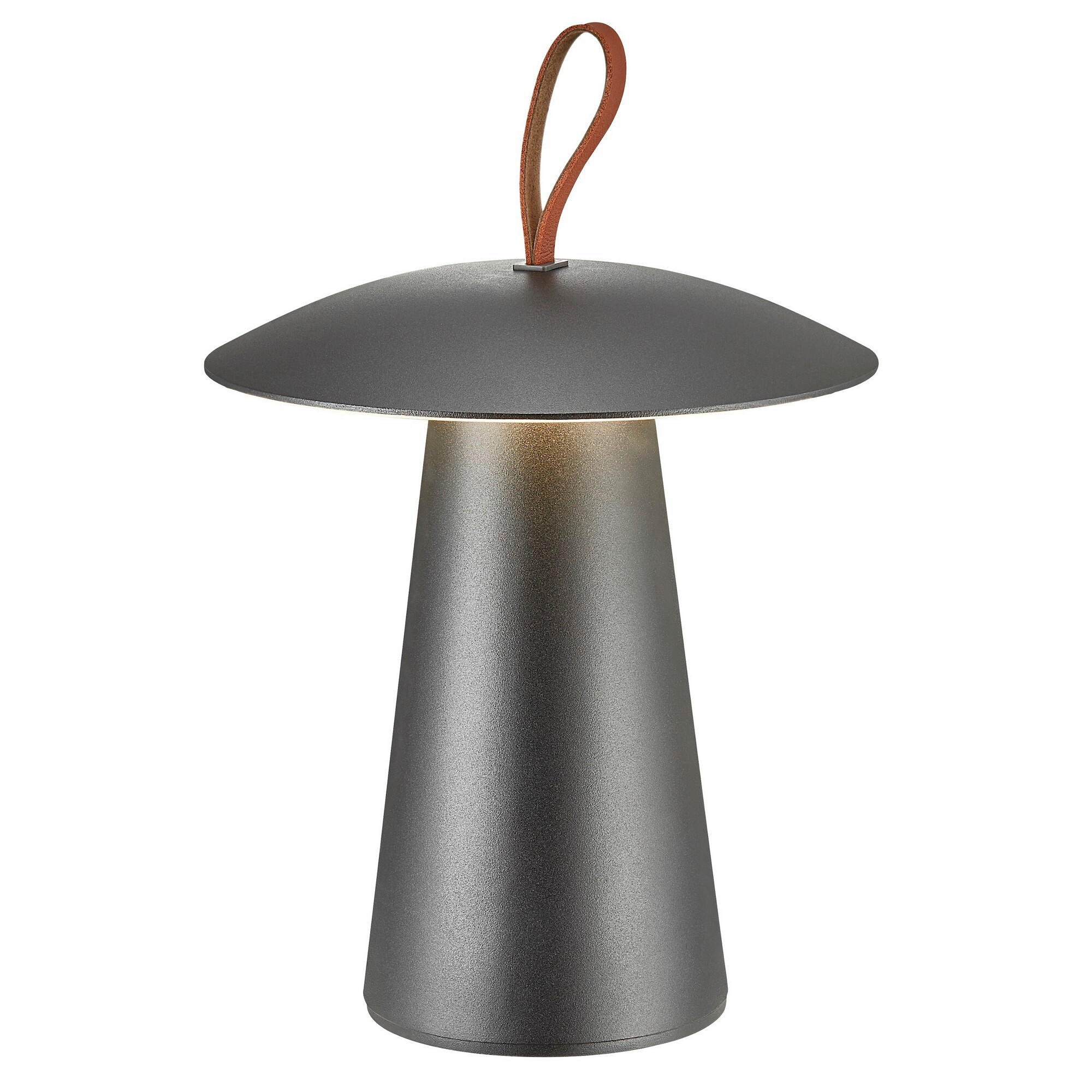 AKKU-TISCHLEUCHTE 19,7/29,2 cm  - Schwarz, Design, Metall (19,7/29,2cm) - Nordlux