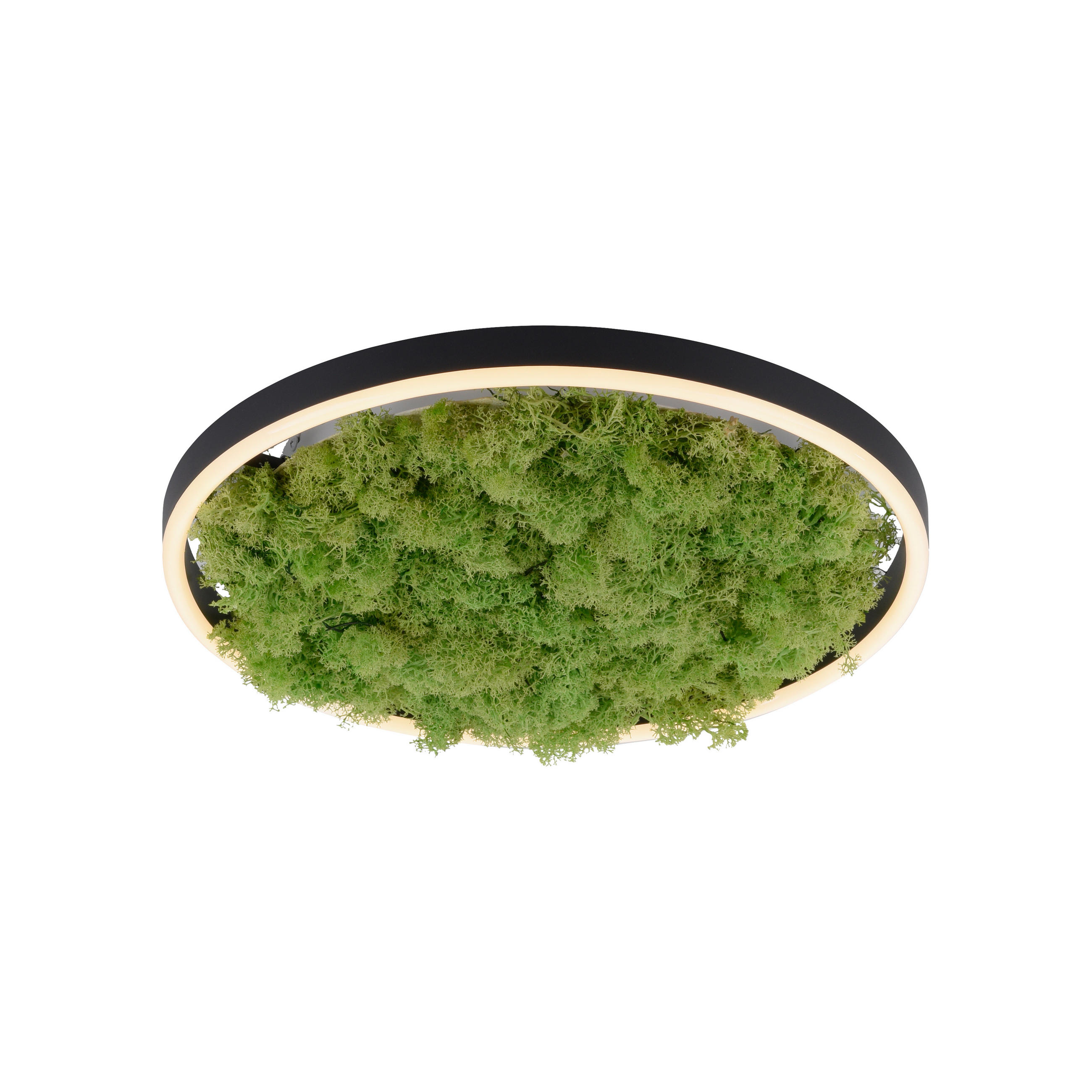 LED-DECKENLEUCHTE 39,3/39,3/5,3 cm   - Naturfarben, Natur, Naturmaterialien/Kunststoff (39,3/39,3/5,3cm)