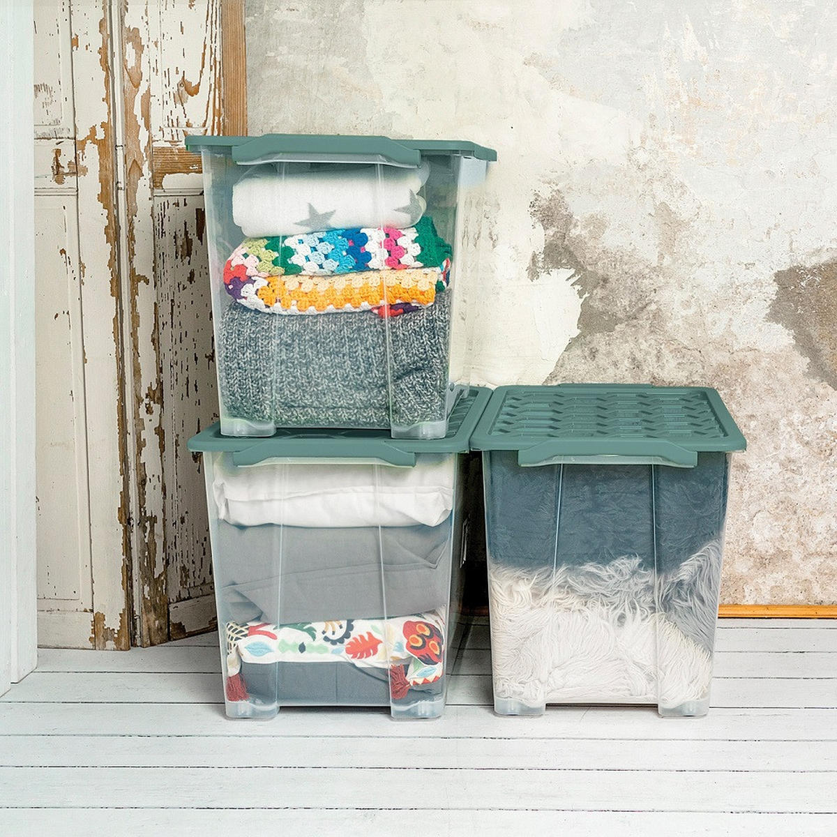 BOX MIT DECKEL EVO SAFE  - Transparent/Grün, Basics, Kunststoff (59/39,5/41,2cm) - Rotho