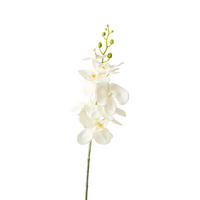 ORCHIDEE  - Weiß/Grün, Natur, Kunststoff (86cm)