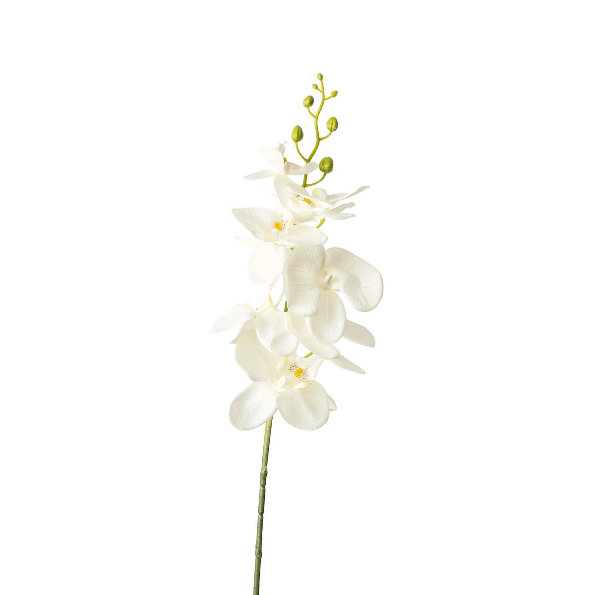 ORCHIDEE  - Weiß/Grün, Natur, Kunststoff (86cm)