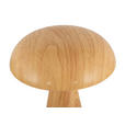 TISCHLEUCHTE - Naturfarben, Trend, Kunststoff/Metall (15,5/21cm) - Novel