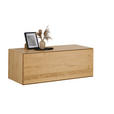 LOWBOARD  121/44/50 cm  Beimöbel erhältlich, hängend, in verschiedenen Größen erhältlich, in verschiedenen Holzdekoren erhältlich  - Eichefarben, Design, Holz/Holzwerkstoff (121/44/50cm) - Dieter Knoll