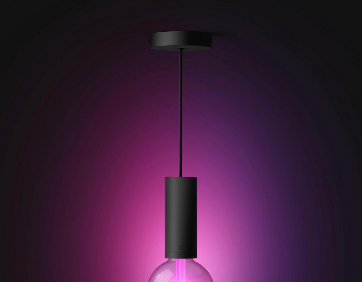 SCHNURPENDEL 11,5/5,78/25 cm    - Schwarz, Basics, Metall (11,5/5,78/25cm) - Philips HUE