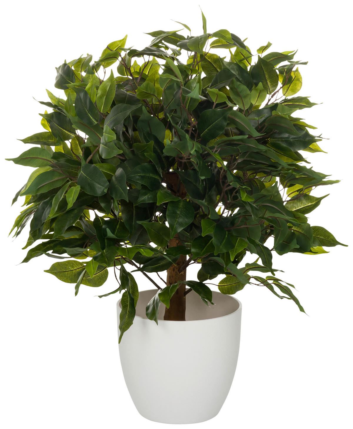 UMĚLÁ ROSTLINA fikus benjamín  - bílá/zelená, Moderní, plast (40/65/40cm) - MID.YOU