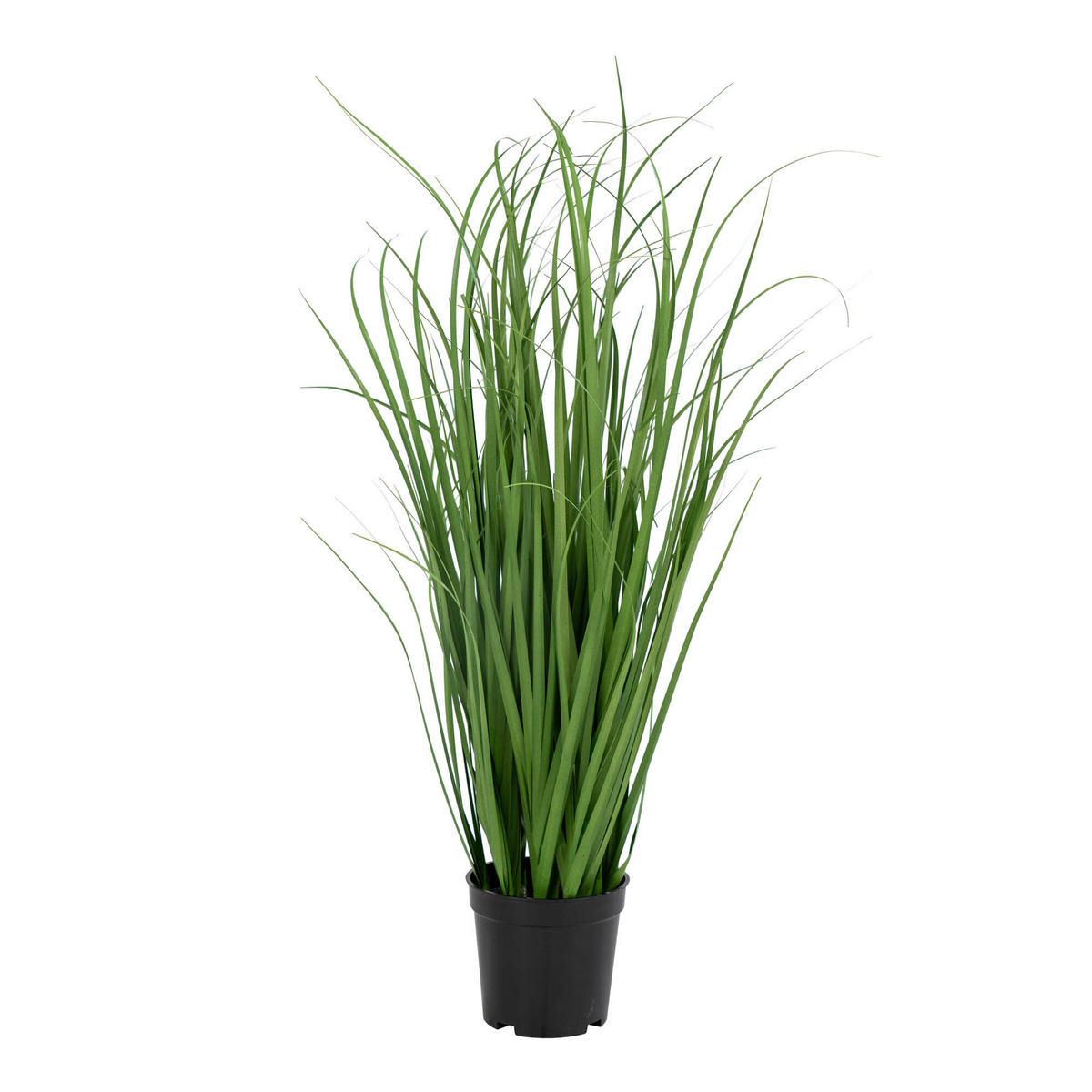 KONSTVÄXT gräsknippe 68 cm  - grön/svart, Basics, plast (68cm) - Ambia Home