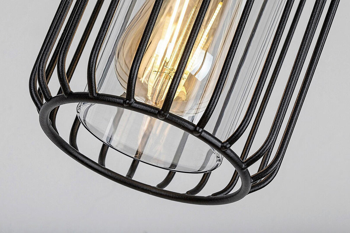 VISEĆA SVJETILJKA VANJSKA Tarpa  - prozirno/crna, Basics, metal/plastika (13.5/74cm)