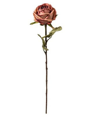 KONSTBLOMMA - Basics (51cm) - Best Price