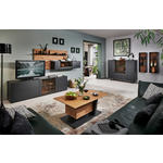 WOHNWAND  in Anthrazit, Eichefarben  313/174/49 cm  - Eichefarben/Anthrazit, Natur, Glas/Holz (313/174/49cm) - Valnatura