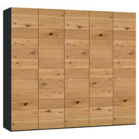 DREHTÜRENSCHRANK 253/220/59 cm,  in Wildeiche, 5-türig  - Wildeiche/Silberfarben, Design, Holz/Holzwerkstoff (253/220/59cm) - Jutzler