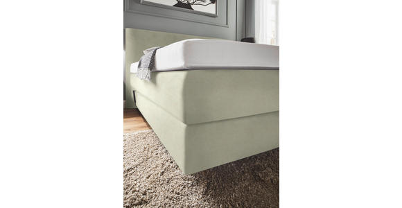 BOXSPRINGBETT 160/200 cm  in Ecru  - Ecru, KONVENTIONELL, Holz/Textil (160/200cm) - Dieter Knoll