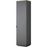 GARDEROBENSCHRANK  in 50/200/40 cm  - Anthrazit/Schwarz, Design, Holzwerkstoff/Metall (50/200/40cm) - Dieter Knoll