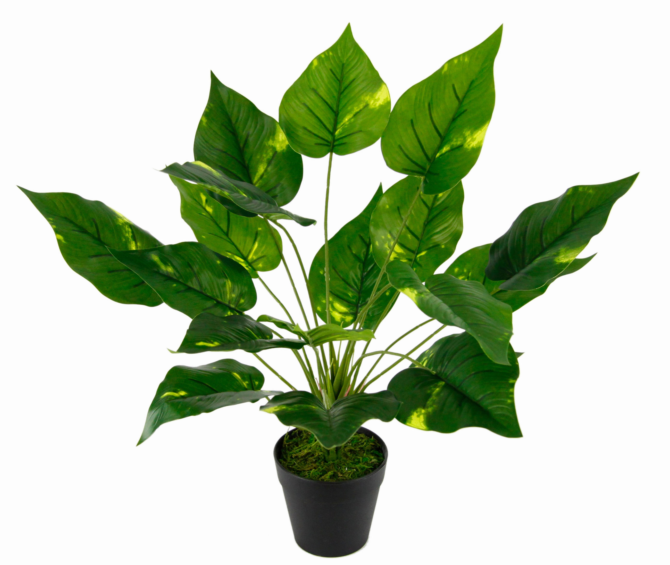 POTHOS  - Grün, Basics, Kunststoff/Textil (40/60/60cm)