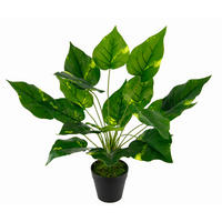 POTHOS  - Grün, Basics, Kunststoff/Textil (40/60/60cm)