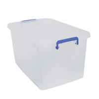 AUFBEWAHRUNGSBOX  - Transparent, Basics, Kunststoff (66/39.5/48cm) - Spirella