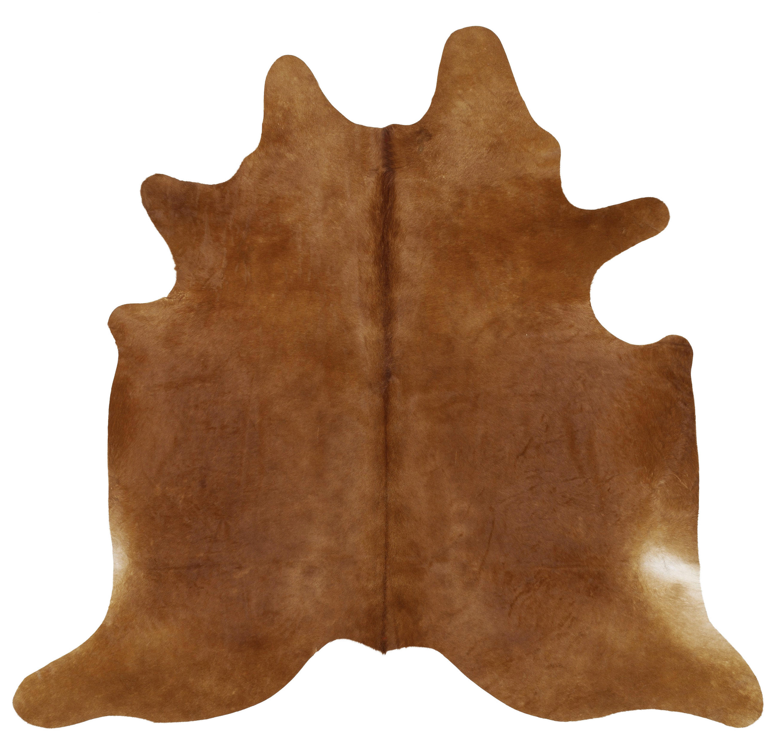 RINDERFELL 160/200 cm Rinderfell  - Braun, LIFESTYLE, Leder/Fell (160/200cm) - Linea Natura
