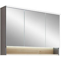 SPIEGELSCHRANK 100/71,6/21,4 cm  - Dunkelgrau, KONVENTIONELL, Glas/Holzwerkstoff (100/71,6/21,4cm) - Pelipal