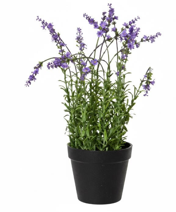VEŠTAČKA BILJKA        22/37 cm      - lila/zelena, Osnovno, kamen/metal (22/37cm) - Ambia Home