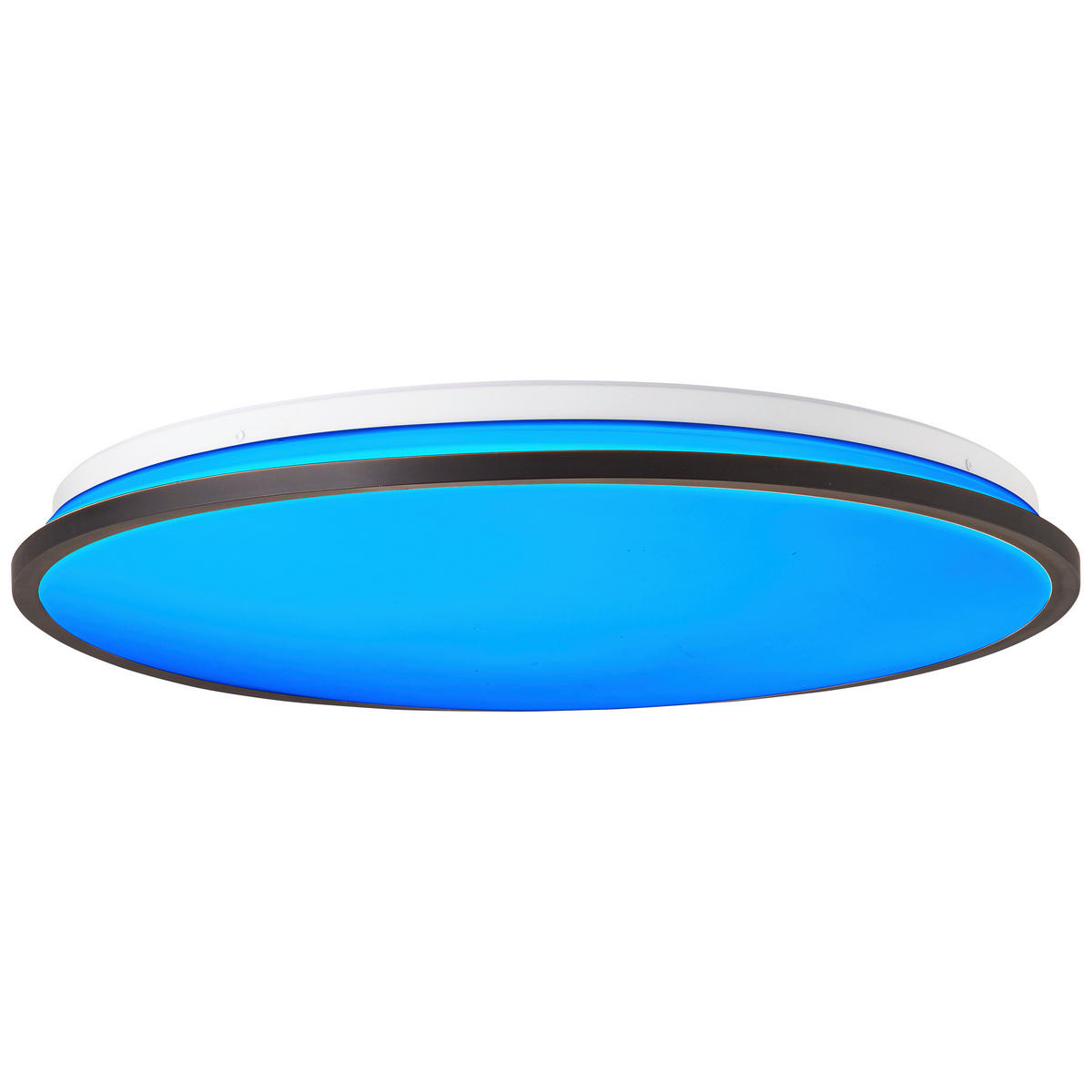 STROPNA LED-SVETILKA  Heida 30 W/3000 lm/3000-6500 K/230 V/ - črna, Basics, kovina/umetna masa (49/7,5cm)
