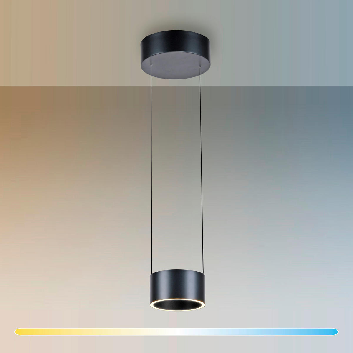 LED-HÄNGELEUCHTE 20/20/180 cm   - Grau, Design, Kunststoff/Metall (20/20/180cm) - Neuhaus PURE