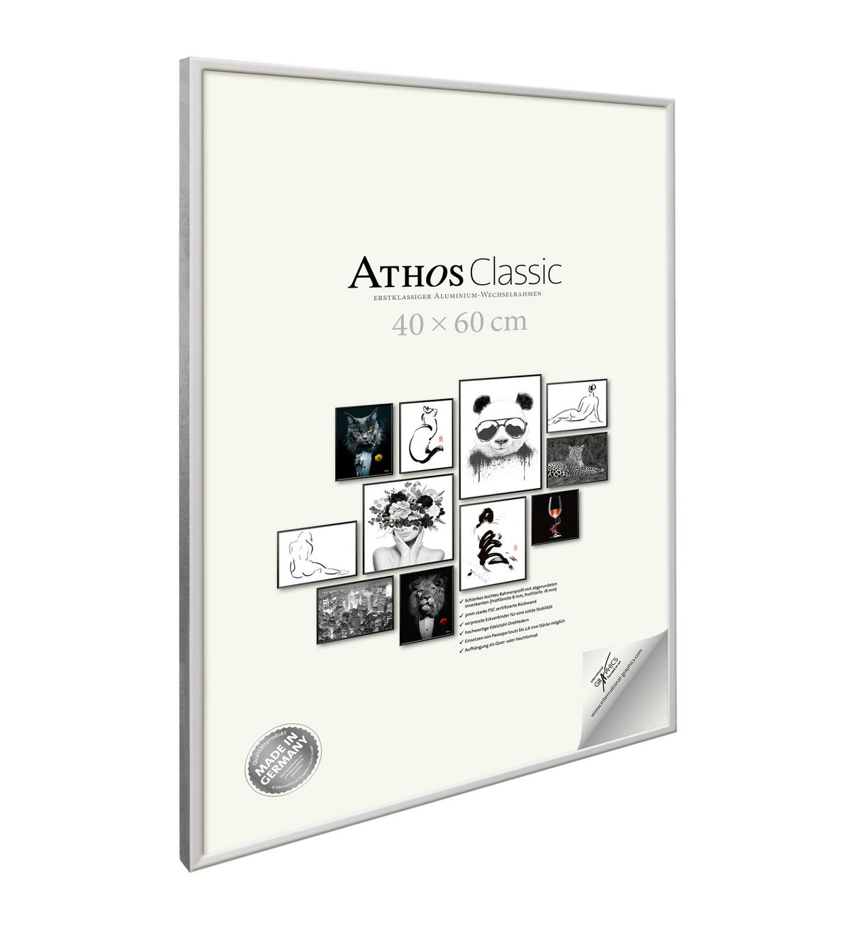 BILDERRAHMEN - Silberfarben, Basics, Glas/Papier (40/60/1,8cm)