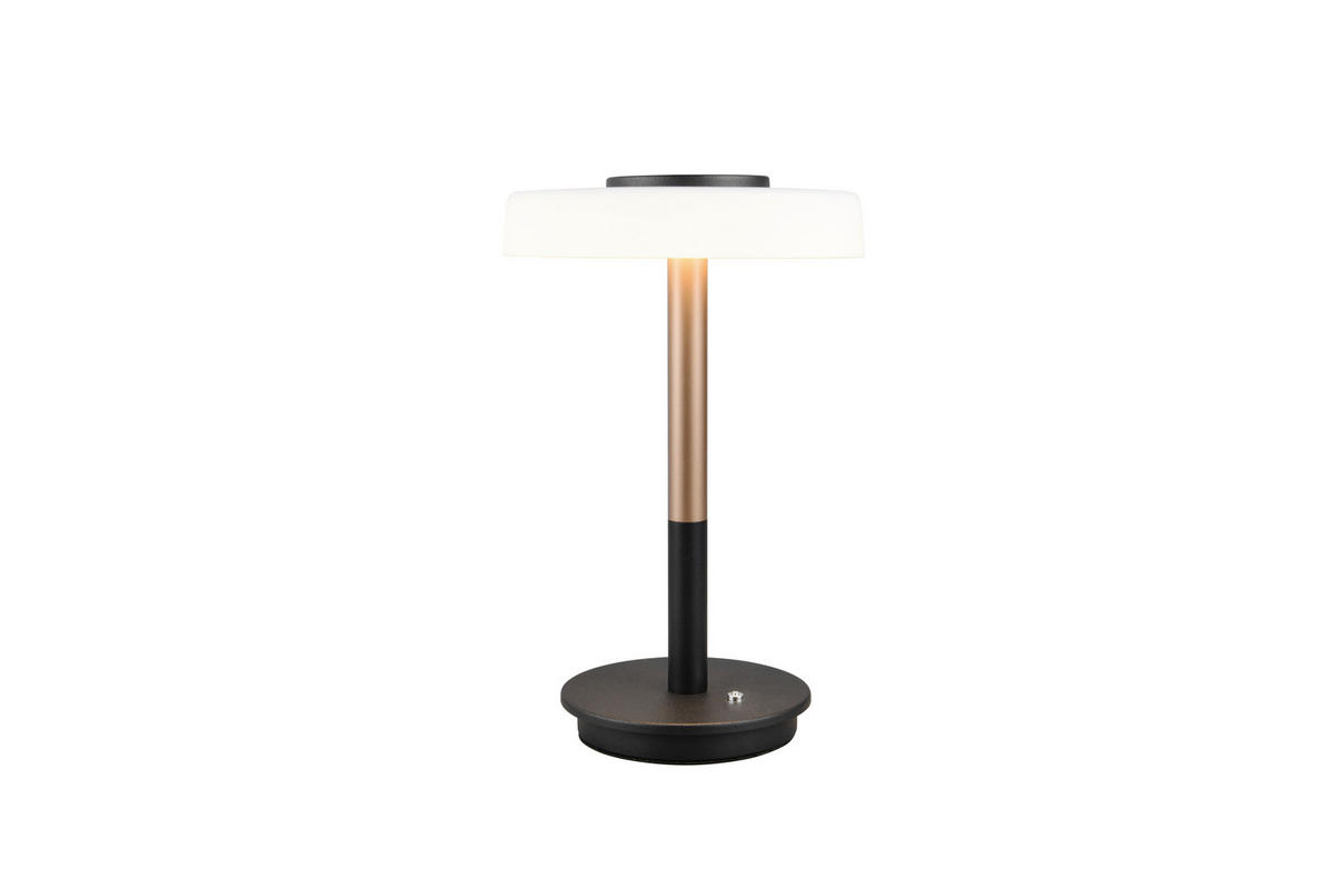 LAMPE DE TABLE LED - Weiss/Braun, Design, Glas/Metall (22/33cm) - Trio Leuchten