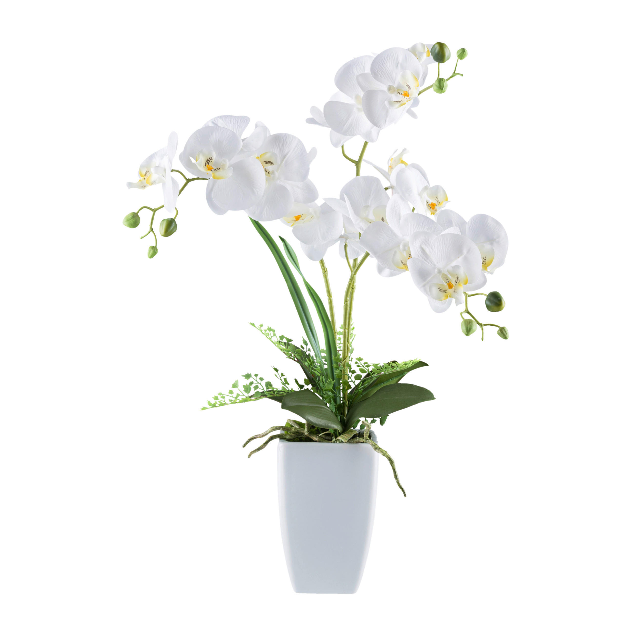 KUNSTPFLANZE Orchidee 67 cm  - Weiß/Grün, Design, Keramik/Kunststoff (67cm)