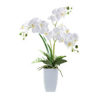 KUNSTPFLANZE Orchidee 67 cm  - Weiß/Grün, Design, Keramik/Kunststoff (67cm)