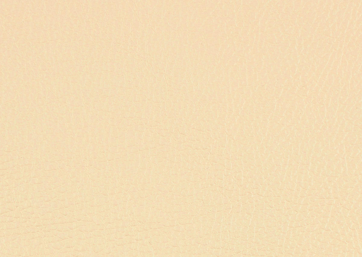 2,5-SITZER in Echtleder Creme  - Creme/Schwarz, Design, Leder/Metall (164/84/99cm) - Dieter Knoll