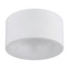 LED-DECKENLEUCHTE RAYMOND 15/7,5 cm   - Opal/Weiß, Basics, Kunststoff/Metall (15/7,5cm)