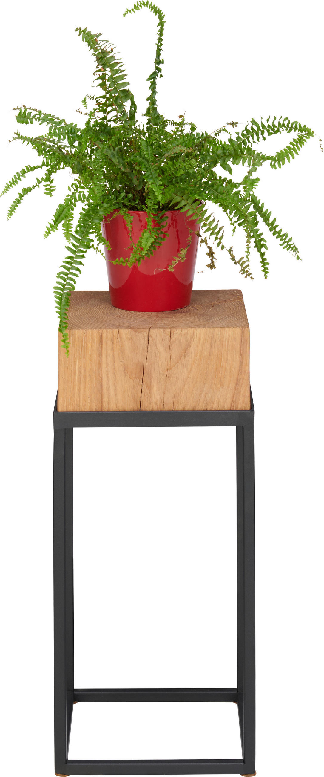 STOJAN NA KVĚTINY, dub, černá, barvy dubu - černá/barvy dubu, Natur, kov/dřevo (25/25/53cm) - Linea Natura