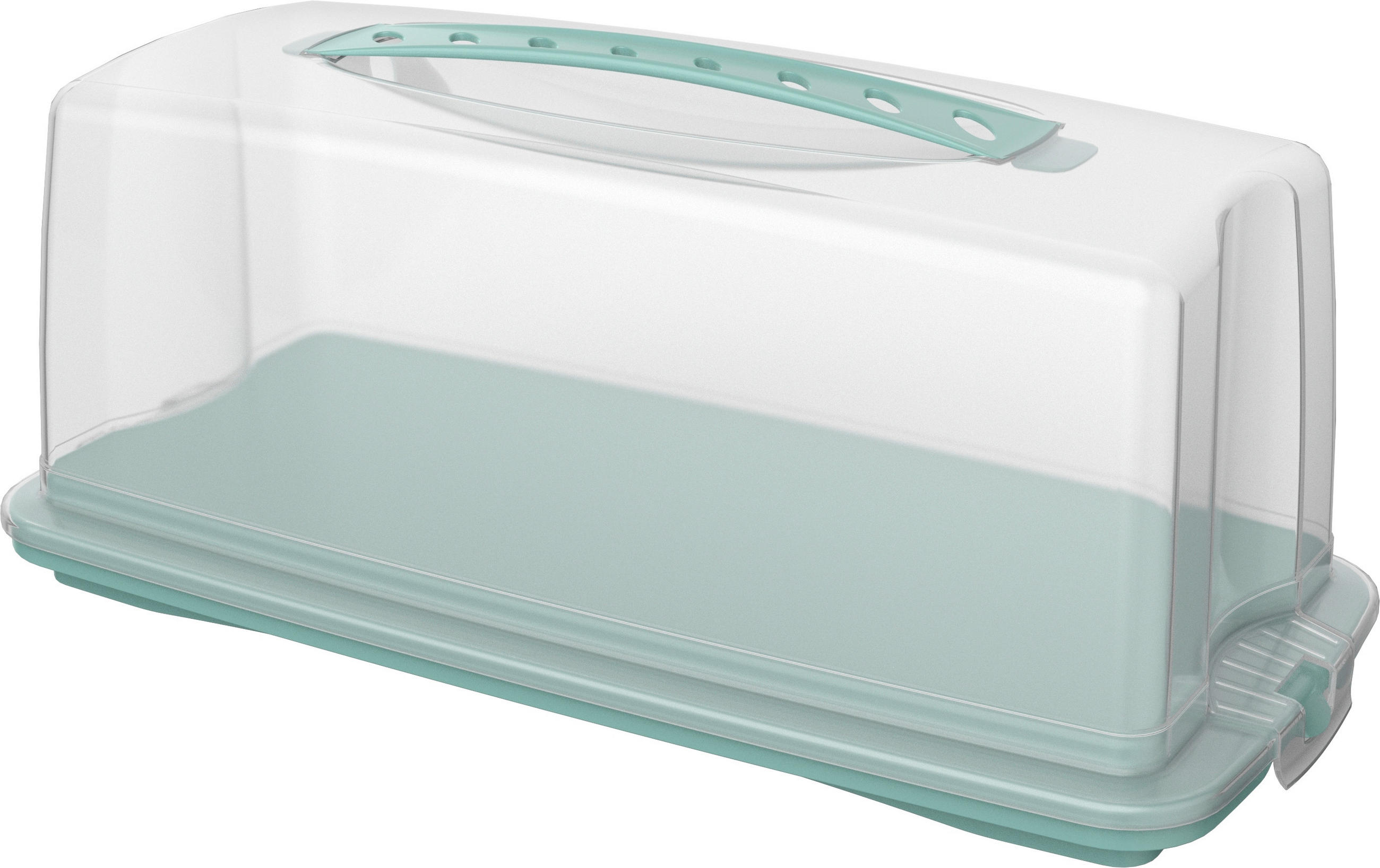 KUCHENTRANSPORTBOX - Transparent/Grün, Basics, Kunststoff (36/16,5/16,5cm) - Rotho