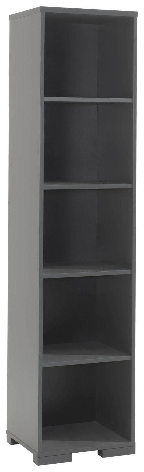 REGAL  45,5/195,2/45 cm Anthrazit  - Anthrazit, MODERN, Holzwerkstoff (45,5/195,2/45cm) - MID.YOU