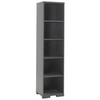 REGAL Anthrazit  - Anthrazit, MODERN, Holzwerkstoff (45,5/195,2/45cm) - MID.YOU