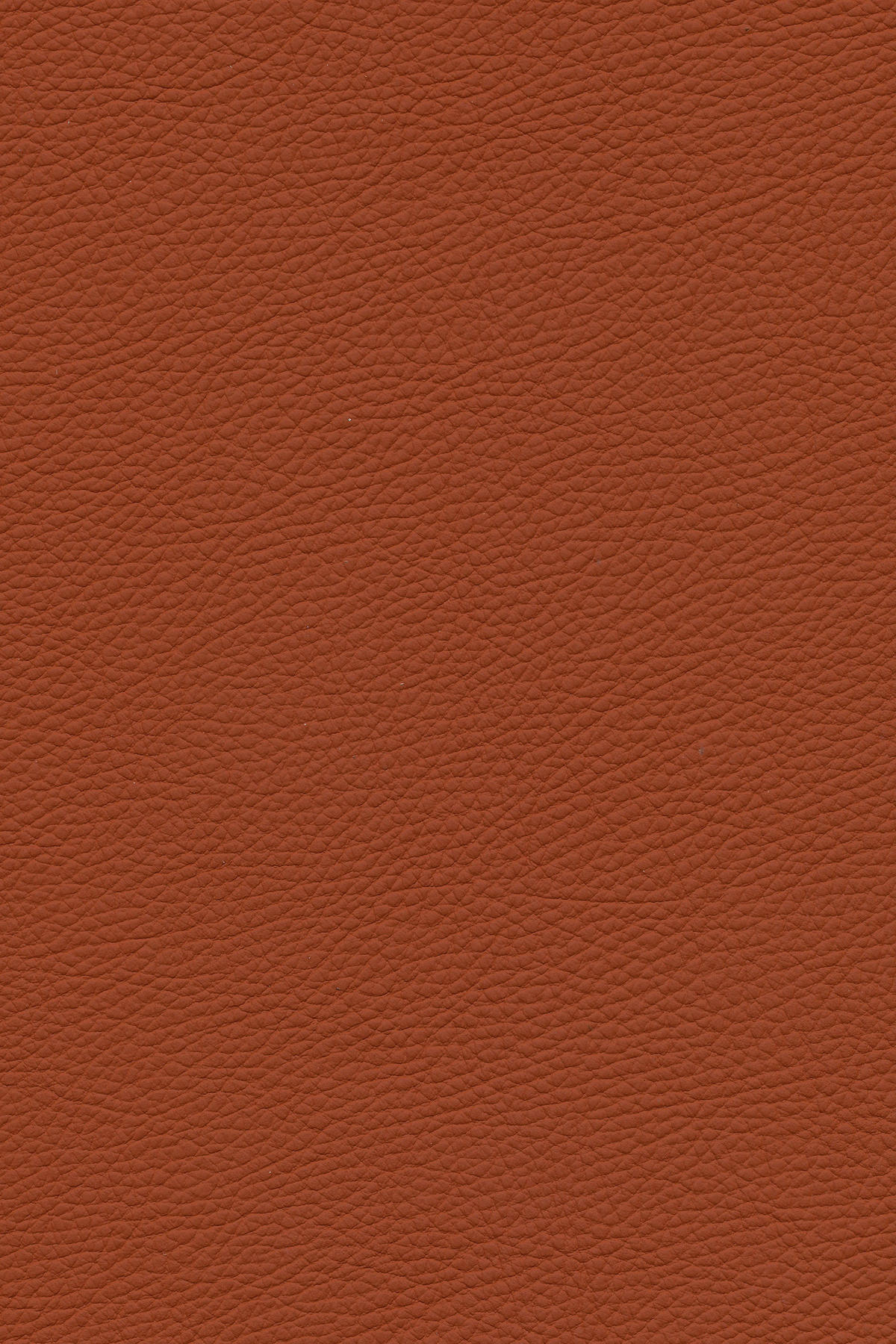ECKSOFA in Echtleder Terracotta  - Terracotta/Schwarz, Design, Leder/Metall (319/182cm) - Valnatura