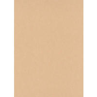 TAPETA   - Basics (53*1000cm)