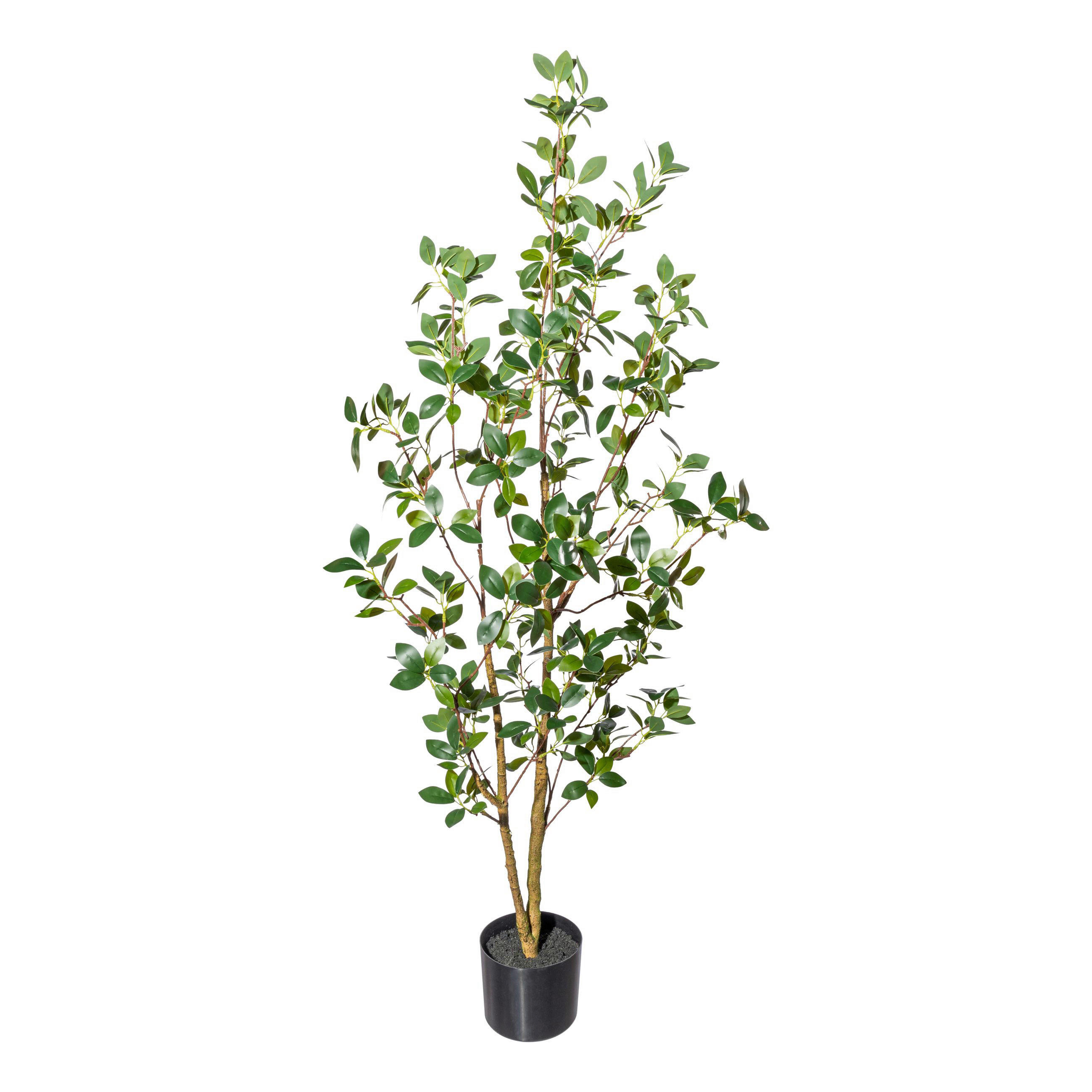 KUNSTPFLANZE 130 cm  - Schwarz/Braun, Design, Kunststoff (130cm) - P & B