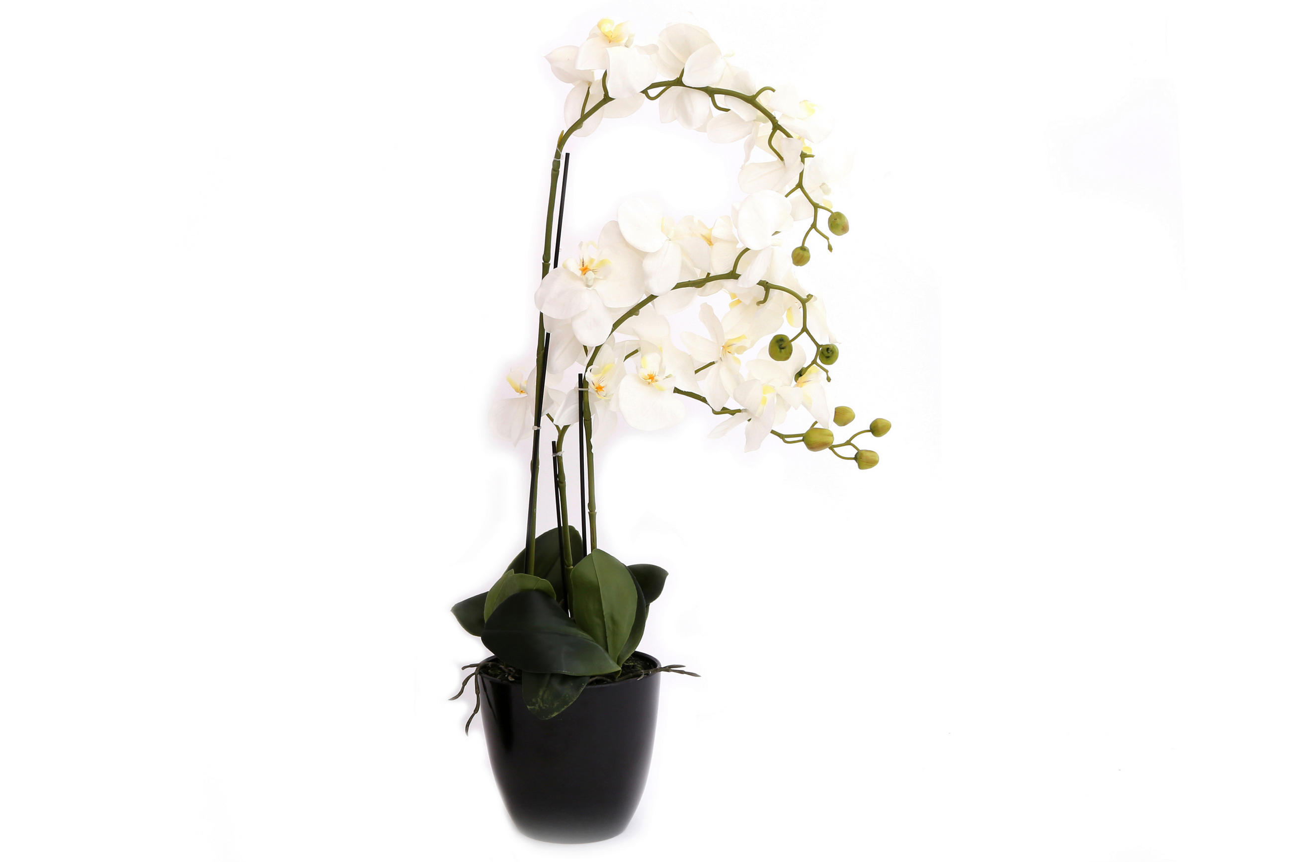 ORCHIDEA - fehér, Basics, műanyag (18/75/18cm)