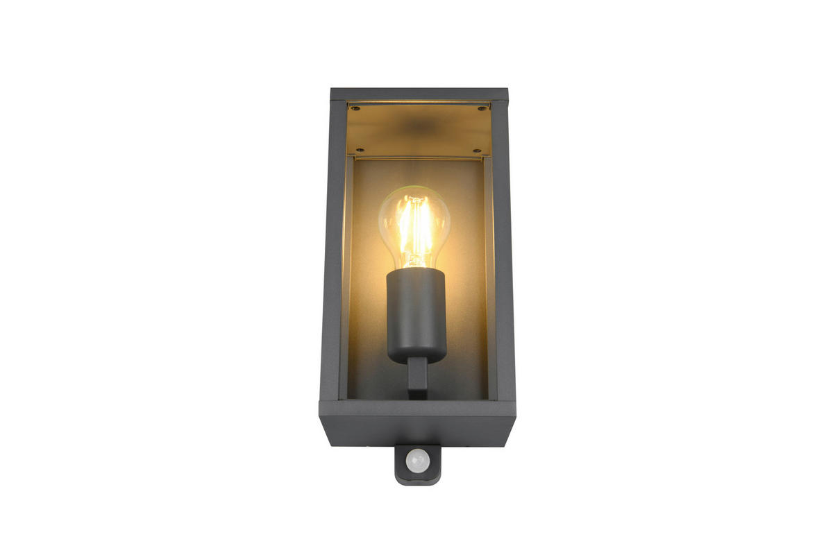 VÄGGLAMPA FÖR UTOMHUS 14/29 cm   - antracit/transparent, Basics, metall/glas (14/29cm)