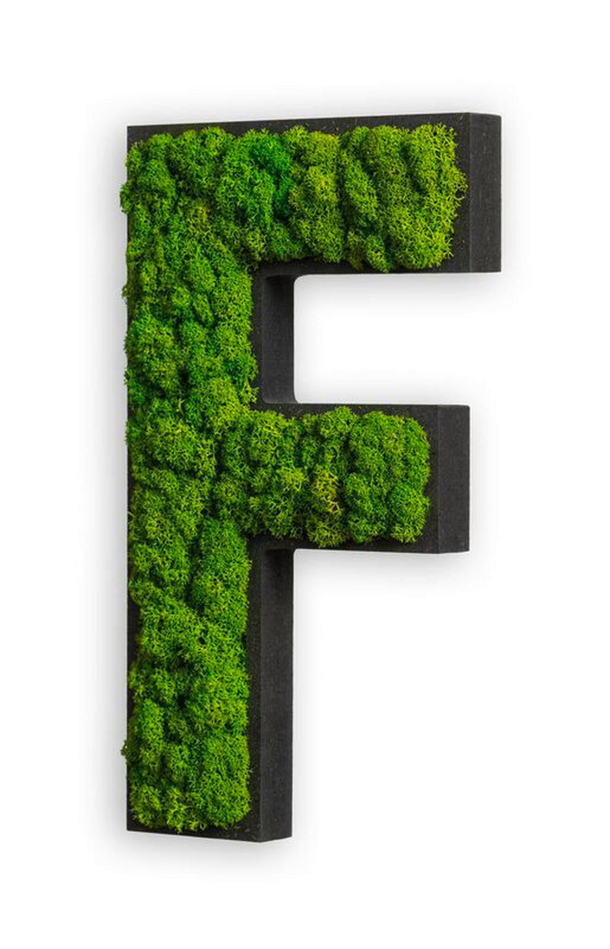 MOOSBILD Stylegreen  - Schwarz/Grün, Basics, Naturmaterialien/Holz (25/14/4cm)