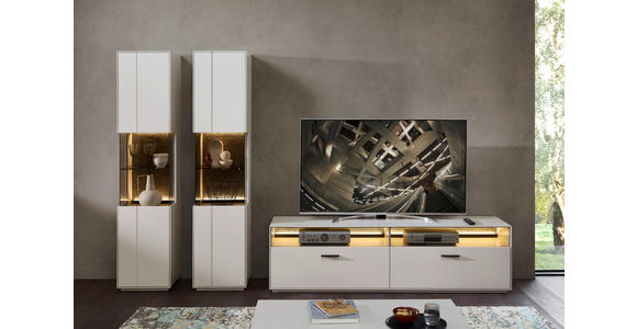 VITRINE Hellgrau, Sahara 45/204/40 cm - Hellgrau/Schwarz, Design, Glas/Holzwerkstoff (45/204/40cm) - Novel