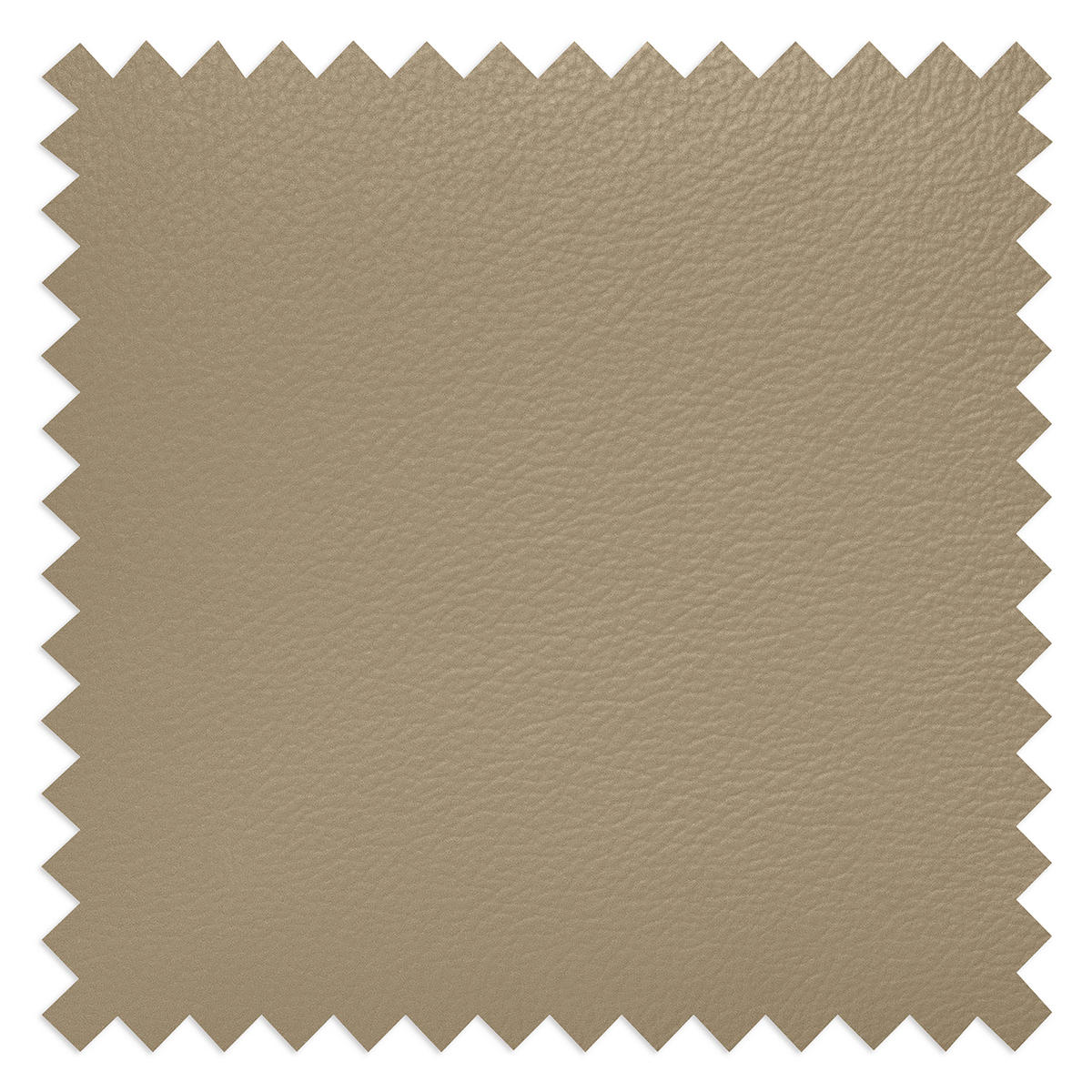 SESSEL in Echtleder Hellgrau  - Hellgrau/Schwarz, Design, Leder/Metall (67/87/74cm) - Livetastic