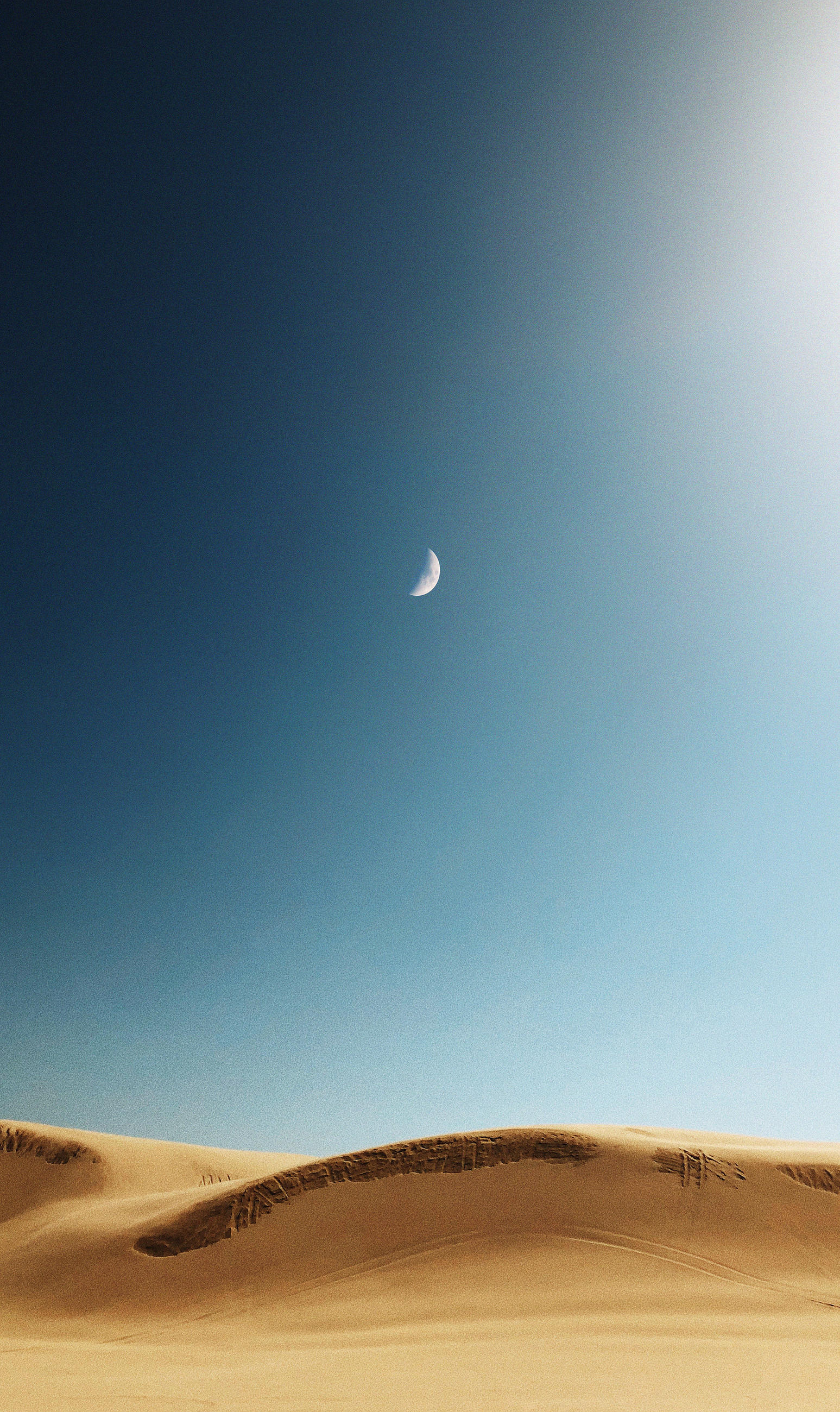 ALUMINIUMBILD 70/118 cm  - Sandfarben/Blau, Design, Kunststoff/Metall (70/118cm) - Wandkraft