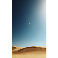 ALUMINIUMBILD 70/118 cm  - Sandfarben/Blau, Design, Kunststoff/Metall (70/118cm) - Wandkraft