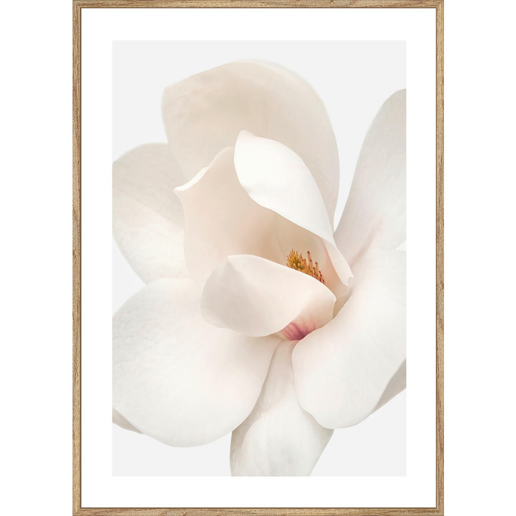 Monee TIŠTĚNÉ OBRAZY NA PLÁTNĚ, květiny, 51,2/71,2 cm