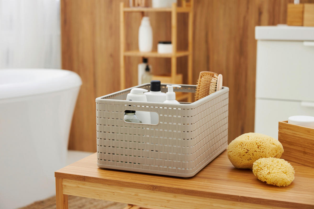 BOXDECKEL - Cappuccino, Basics, Kunststoff (37,5/28,5/0,15cm) - Rotho