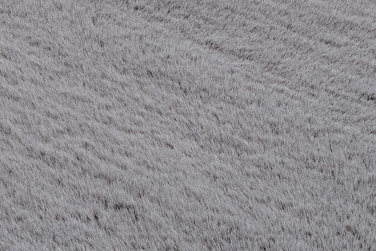 HOCHFLORTEPPICH 80 cm Nuvola - Exklusiv Dunkelgrau  - Dunkelgrau, Basics, Textil (80cm) - Novel
