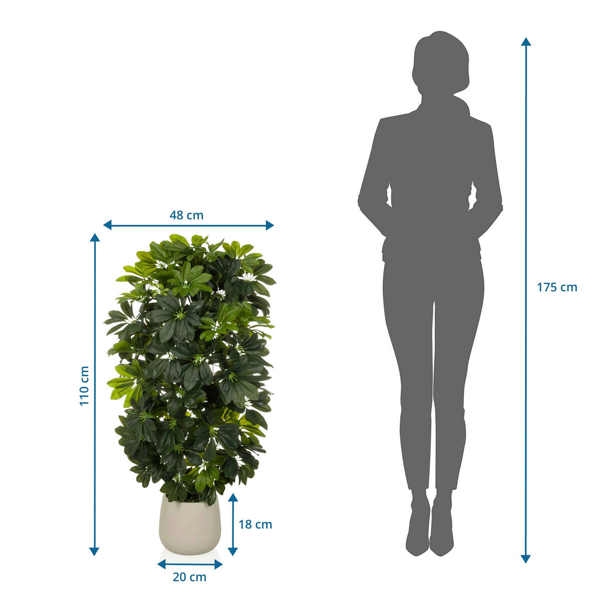 KUNSTPFLANZE Aralia  - Weiß/Grün, MODERN, Kunststoff/Metall (48/110/45cm) - MID.YOU