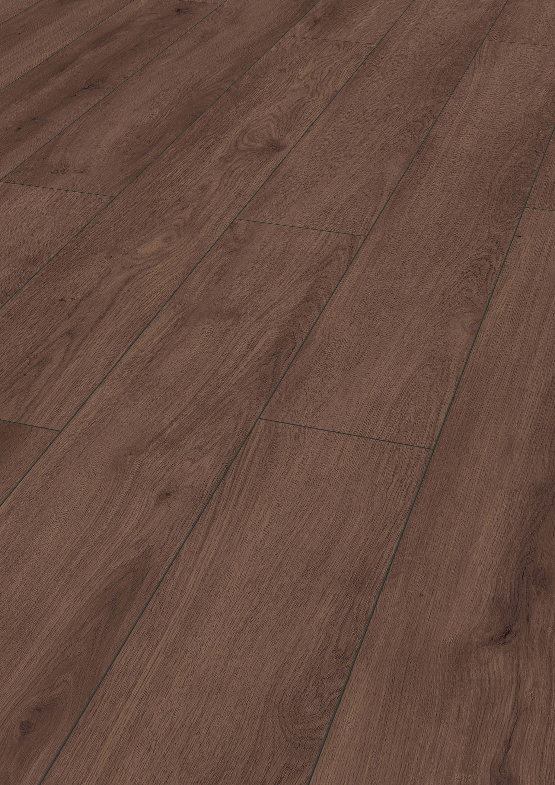 LAMINATBODEN Exquisit  - Eichefarben, KONVENTIONELL, Holz (138.0/19.3/0.8cm)