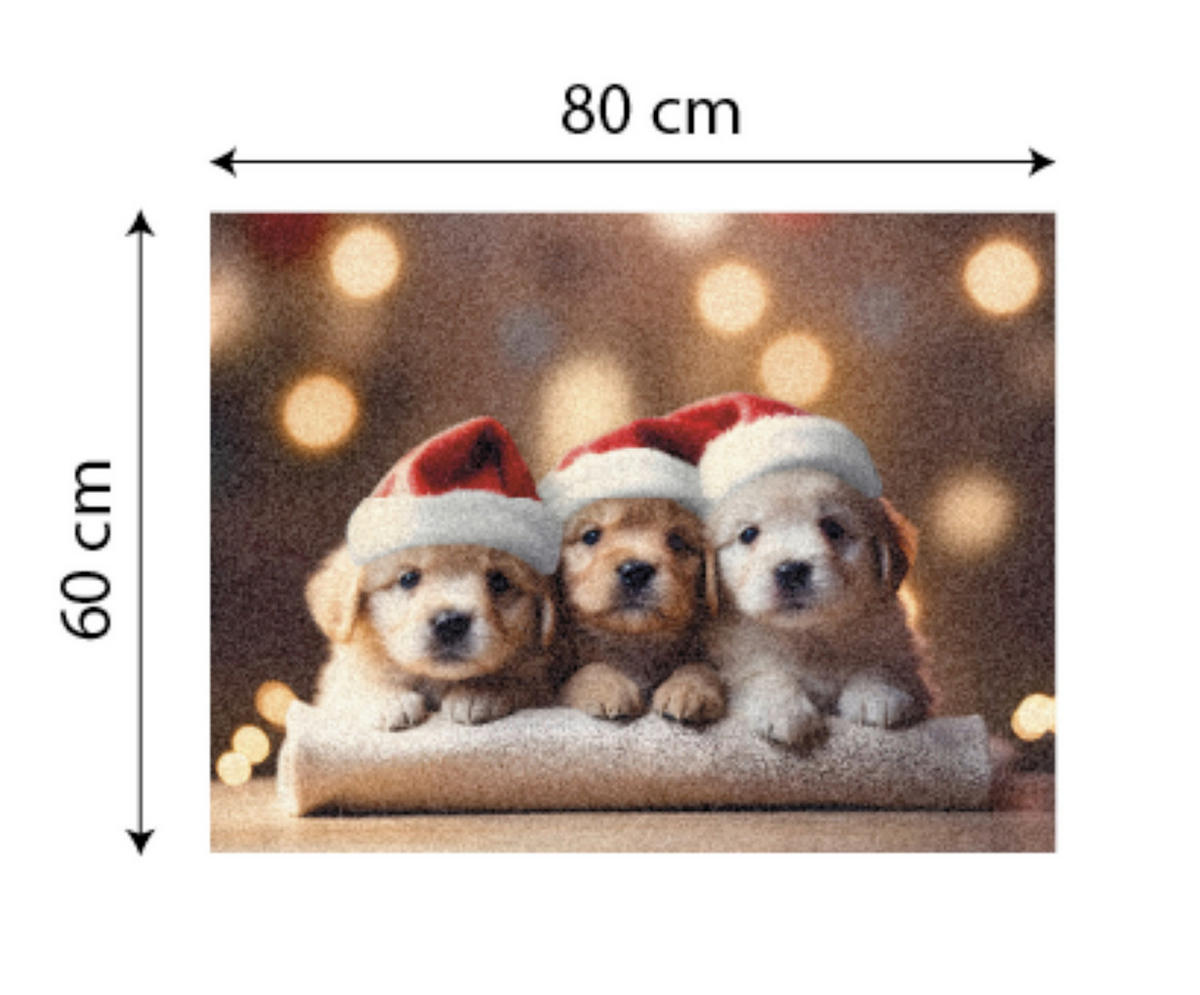 SZENNYFOGÓ SZŐNYEG - Basics, műanyag (80/60cm) - X-Mas